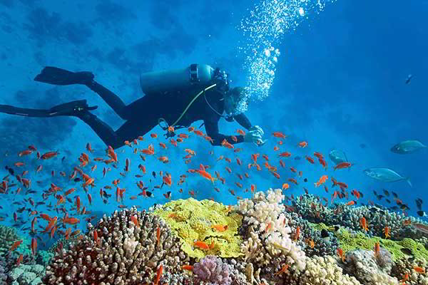 Prime Yacht Rentals Miami - Bahamas Experience