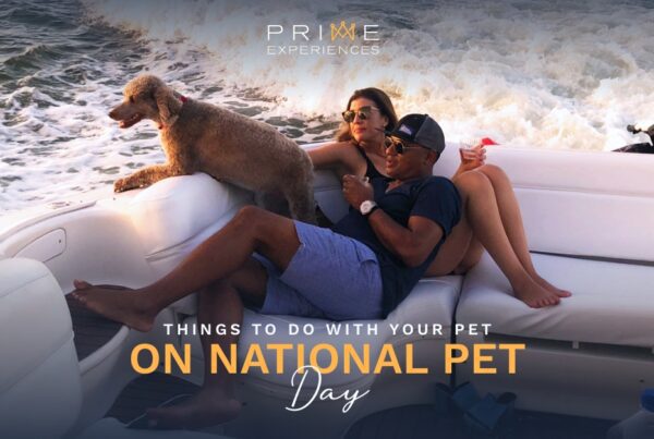 Prime Luxury Rentals - 🐶Things to do with your pet on National Pet Day