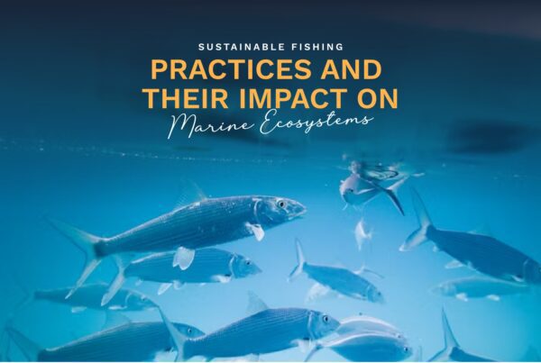 Prime Luxury Rentals - Sustainable Fishing Practices and Their Impact on Marine Ecosystems