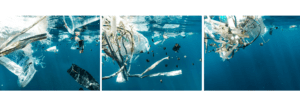 Prime Luxury Rentals - The Effects of Climate Change on Ocean Acidificatio
