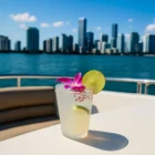 Prime Luxury Rentals - Mixologist