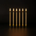 Prime Luxury Rentals - Birthday Bash